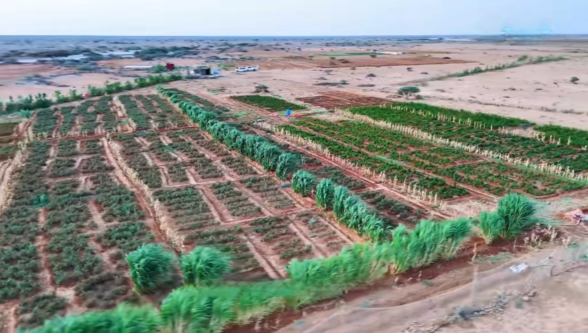 Regional Footprint Map